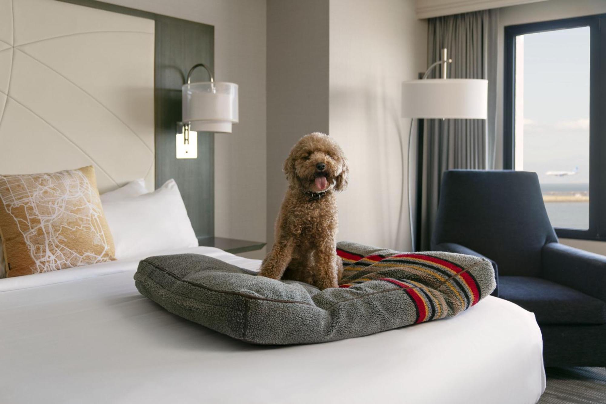 San Francisco Airport Marriott Waterfront Hotel Burlingame Eksteriør billede